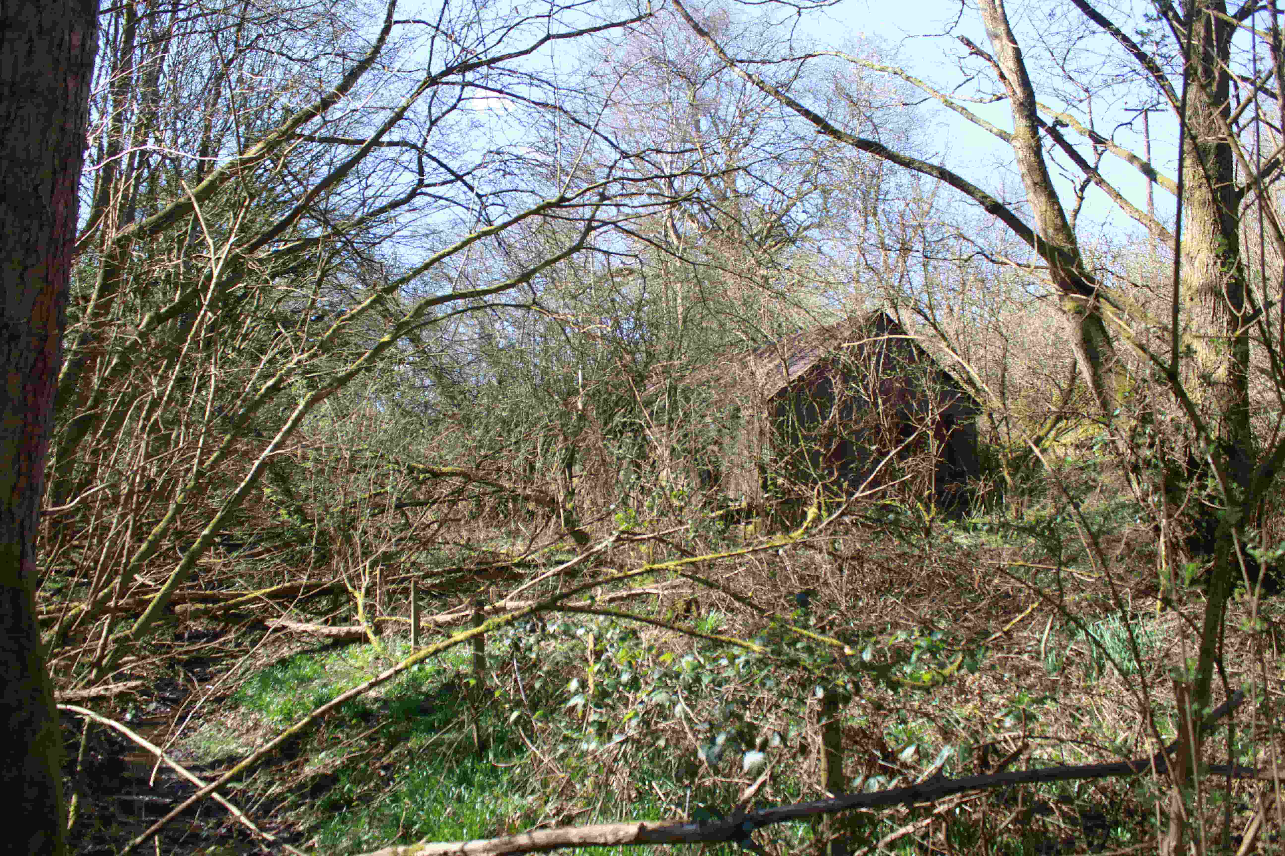 Existing Exterior