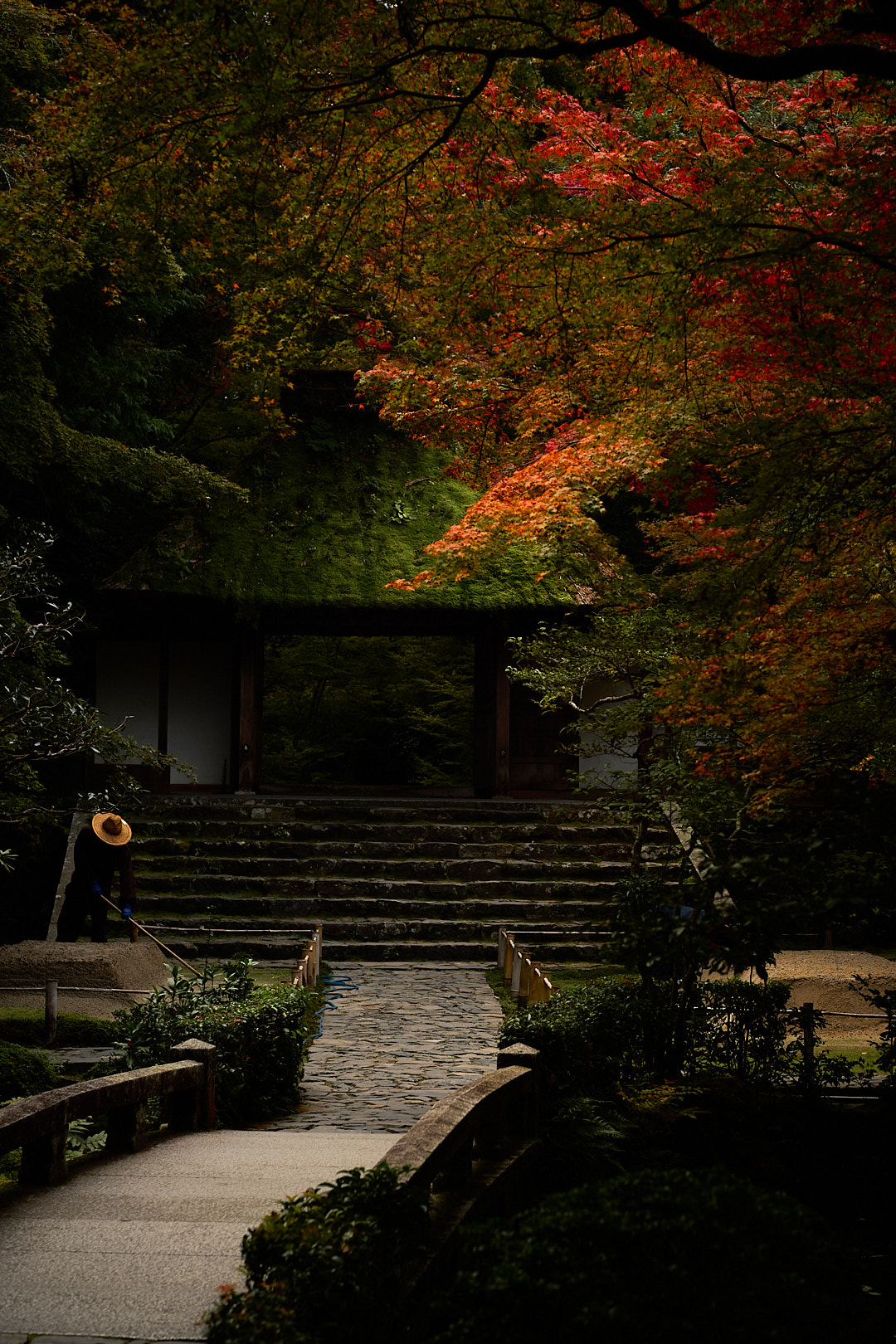 Kyoto, Japan, 2025