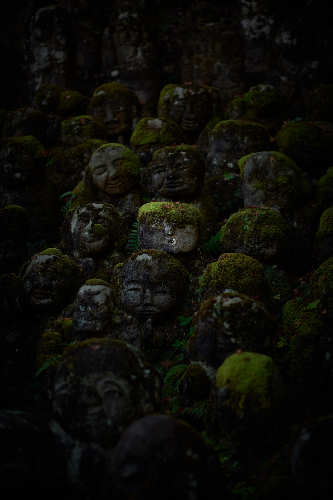 Kyoto, Japan, 2025