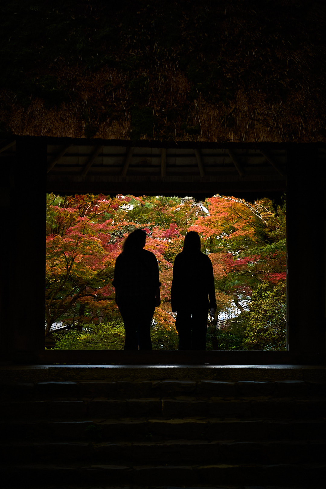 Kyoto, Japan, 2025