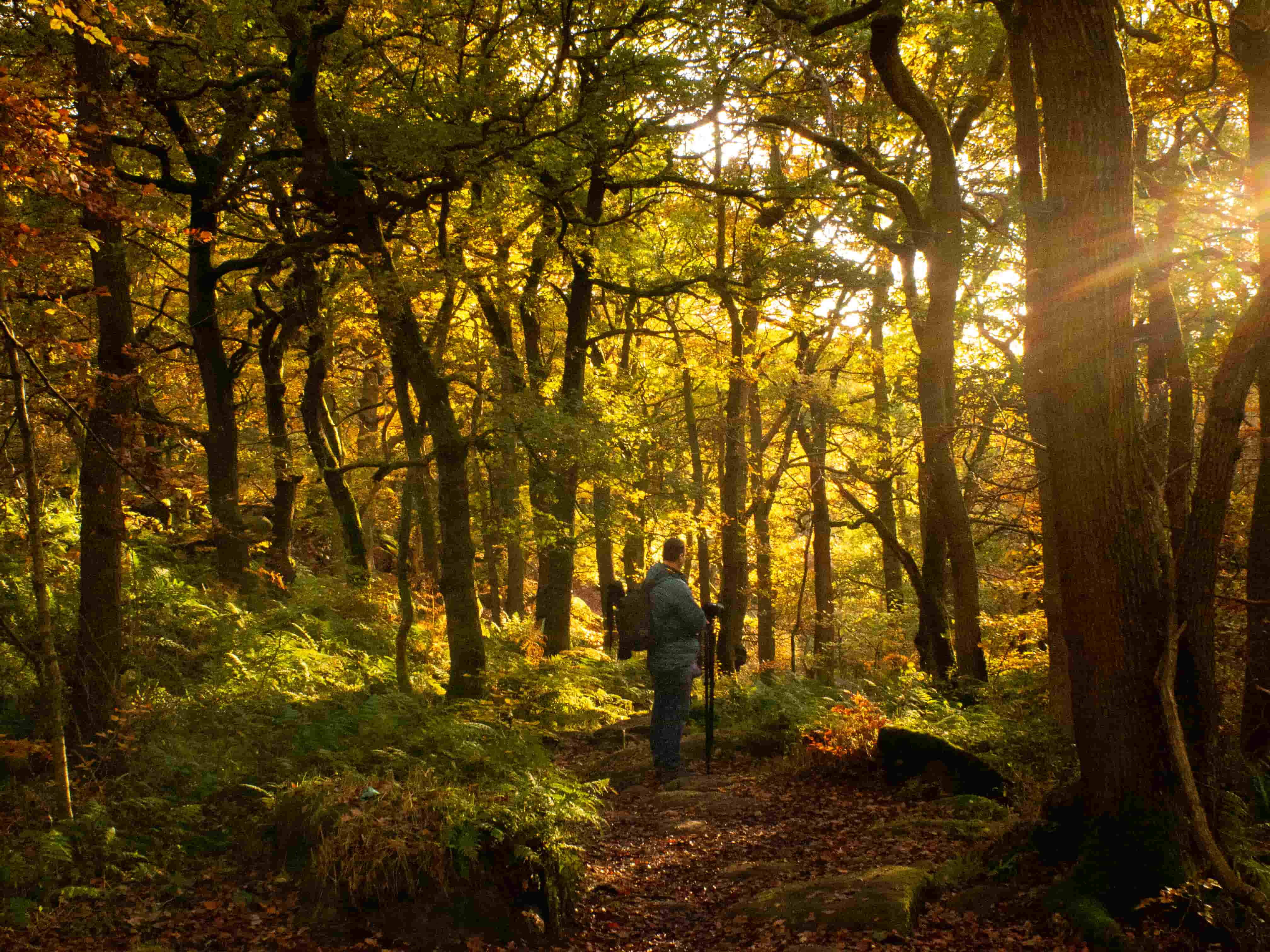 Peak District, UK, 2023