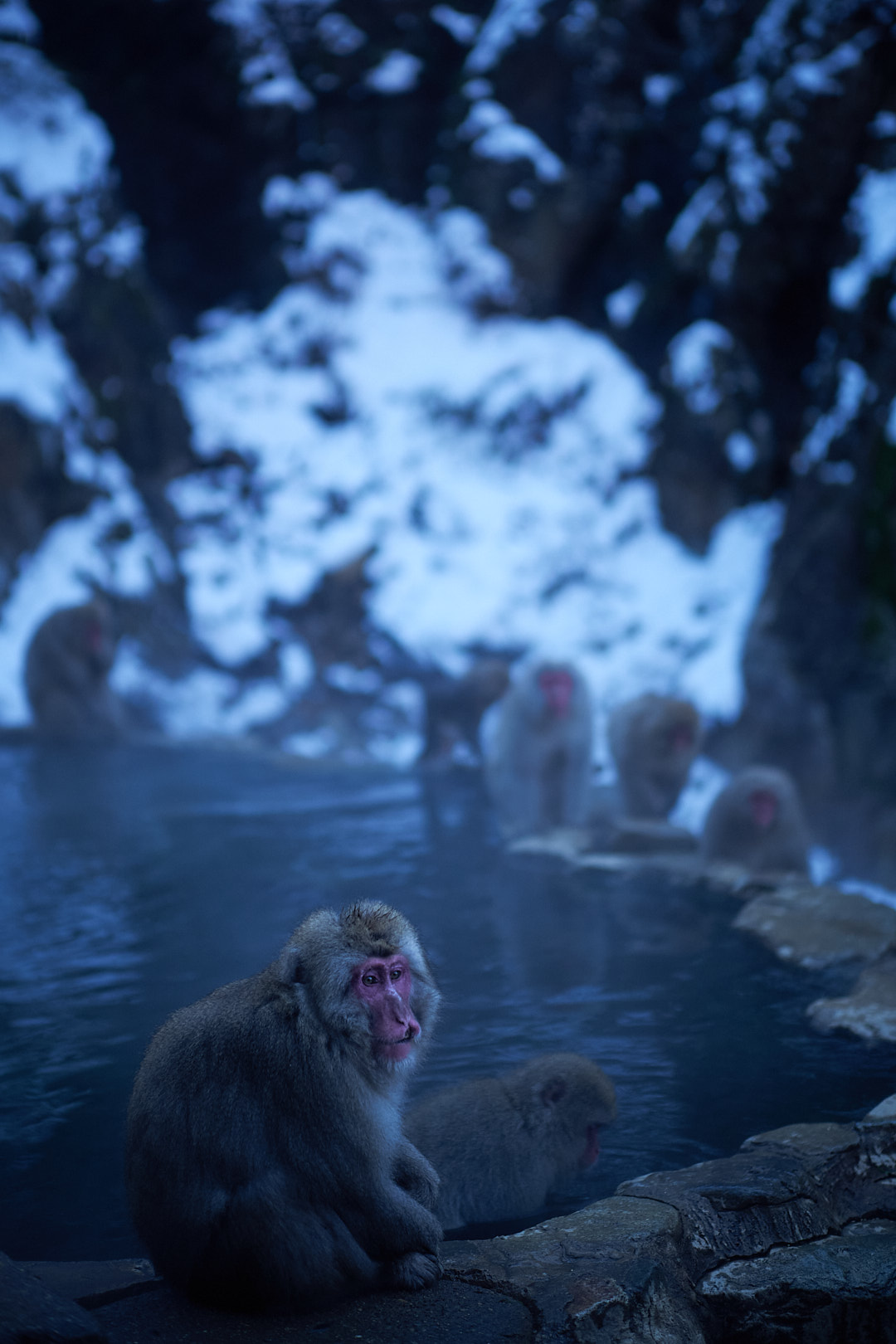 Nagano, Japan, 2025
