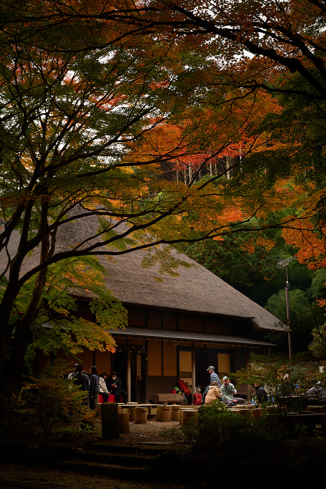 Hakone, Japan, 2025