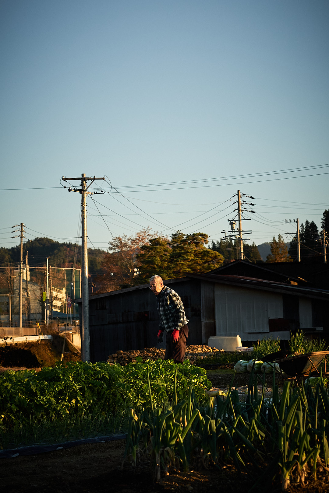 Takayama, Japan, 2025
