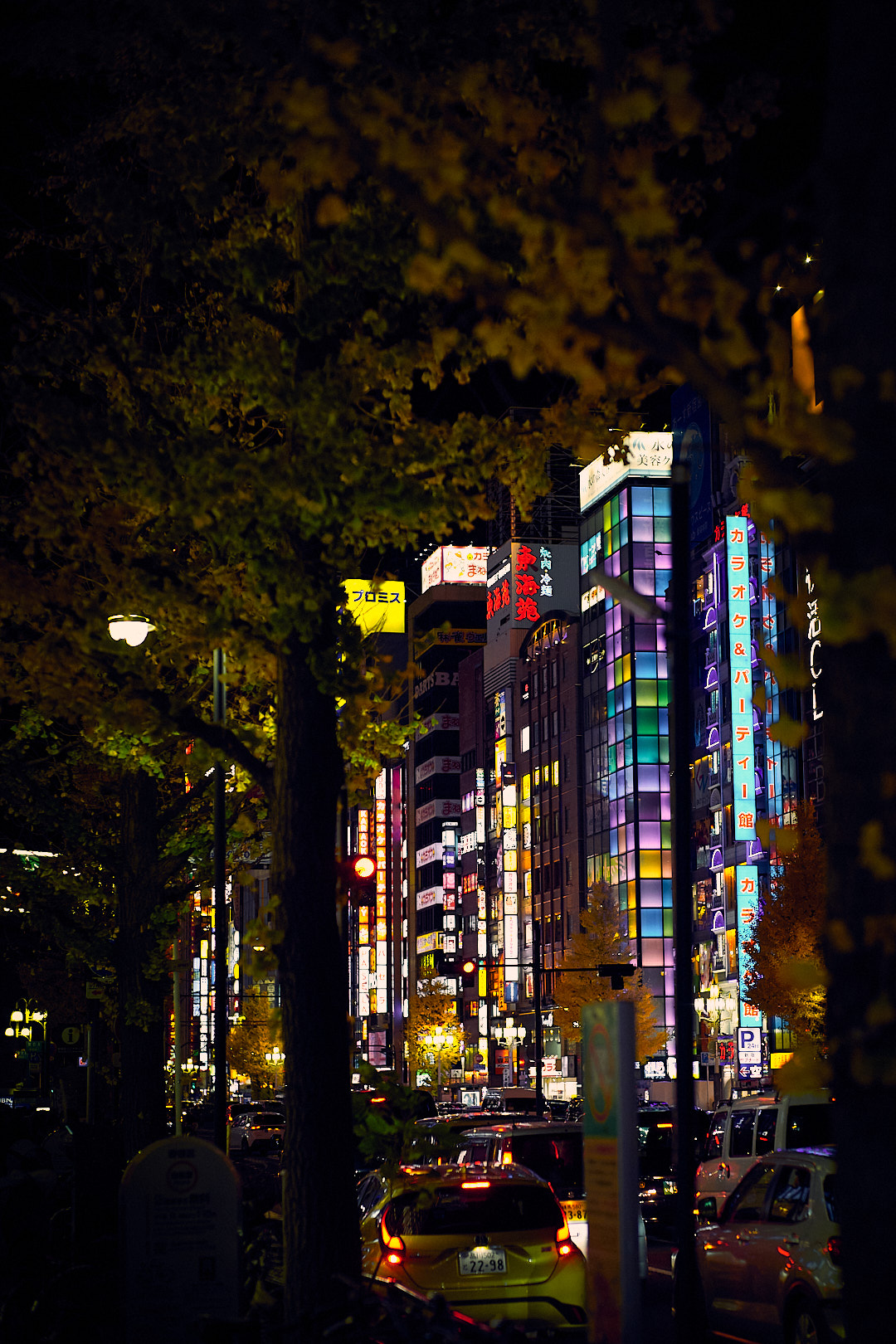 Tokyo, Japan, 2025
